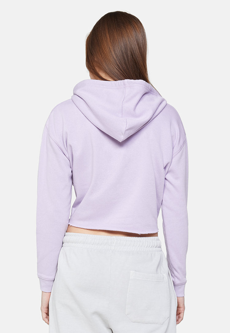 Dsweetdeals Embroidered Crop Hoodie